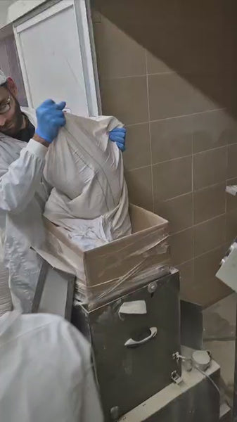 Collection So Africa Matzot Kedem Machine Made Ancient Whole Grain Gaza Wheat Shmura 454 grammes (1 lb)